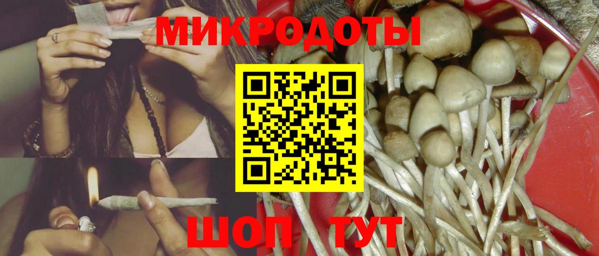 Баксан  Галлюциногенные грибы MAGIC MUSHROOMS  Вход с VPN 